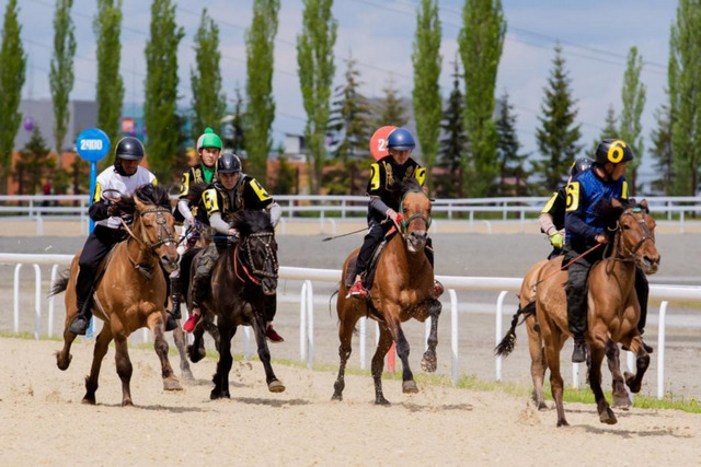 В Уфе пройдут состязания по конному спорту