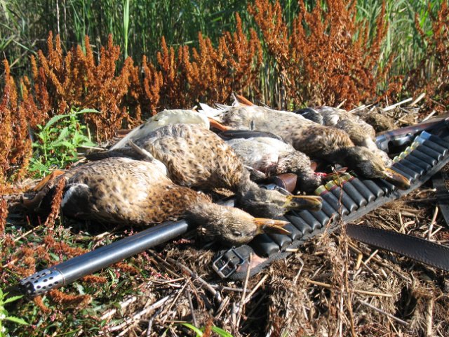 В Башкирии могут запретить весеннюю охоту на птиц
