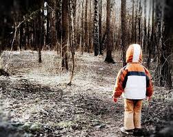В России упростят поиск пропавших без вести детей