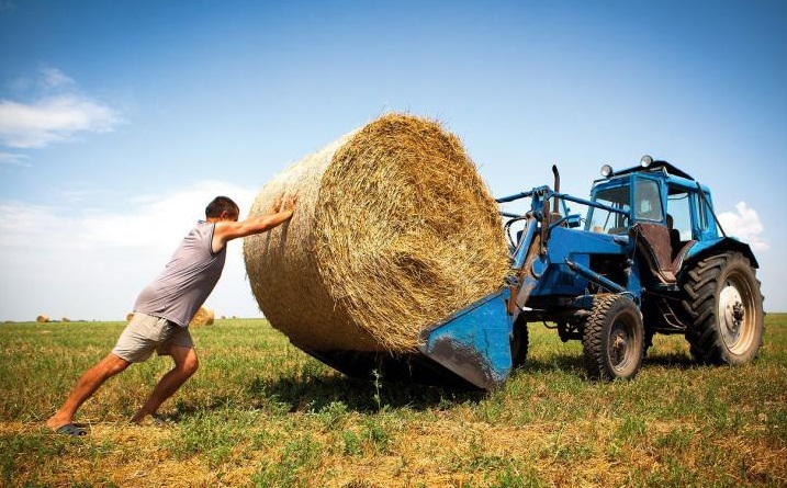 Правительство РФ выделило Башкортостану финансирование на поддержку фермеров 