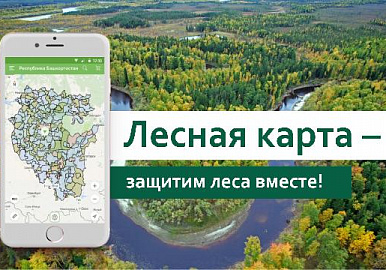 В Башкирии запускают мобильное приложение «Лесная карта»
