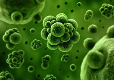 Ученые нашли способ обезвреживания бактерий