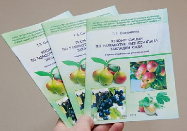 Яблочный бизнес с нуля: рекомендации Гузалии Ситдиковой