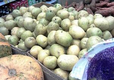 Почему продают зеленую картошку: наше расследование 