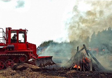 На защиту лесов от пожаров Башкирия получит 34,5 млн рублей 