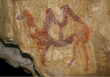 Верблюд из пещеры Шульган-Таш превратился в товарный знак