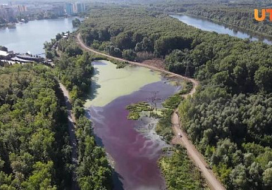 «Виновные в загрязнении озера Щучьего будут найдены»