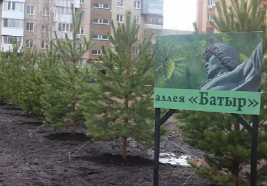 Уфимцев приглашают принять участие в экоакциях «Зелёная Башкирия» и «Сад памяти»