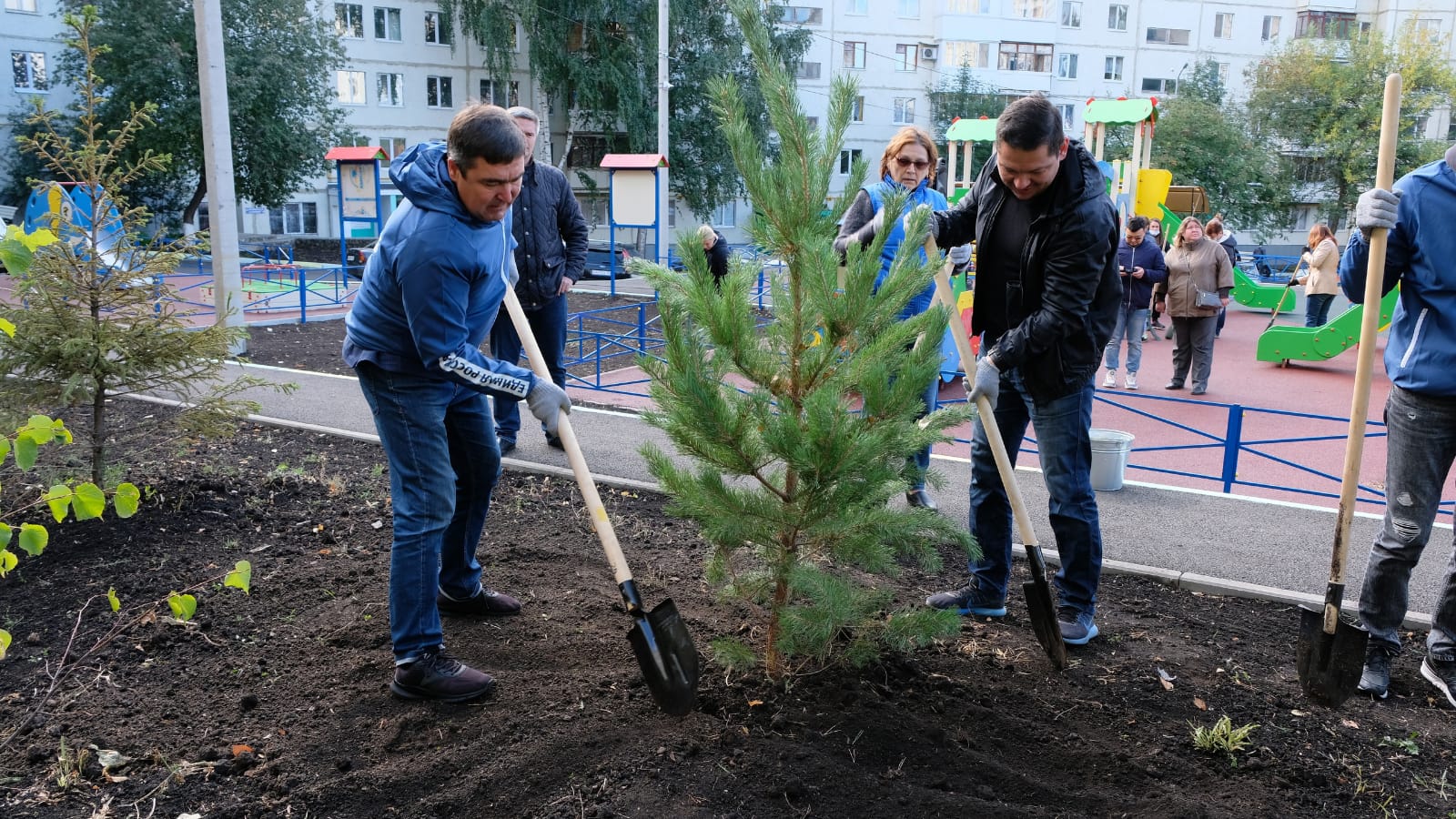 В Кировском районе высадили молодые деревья