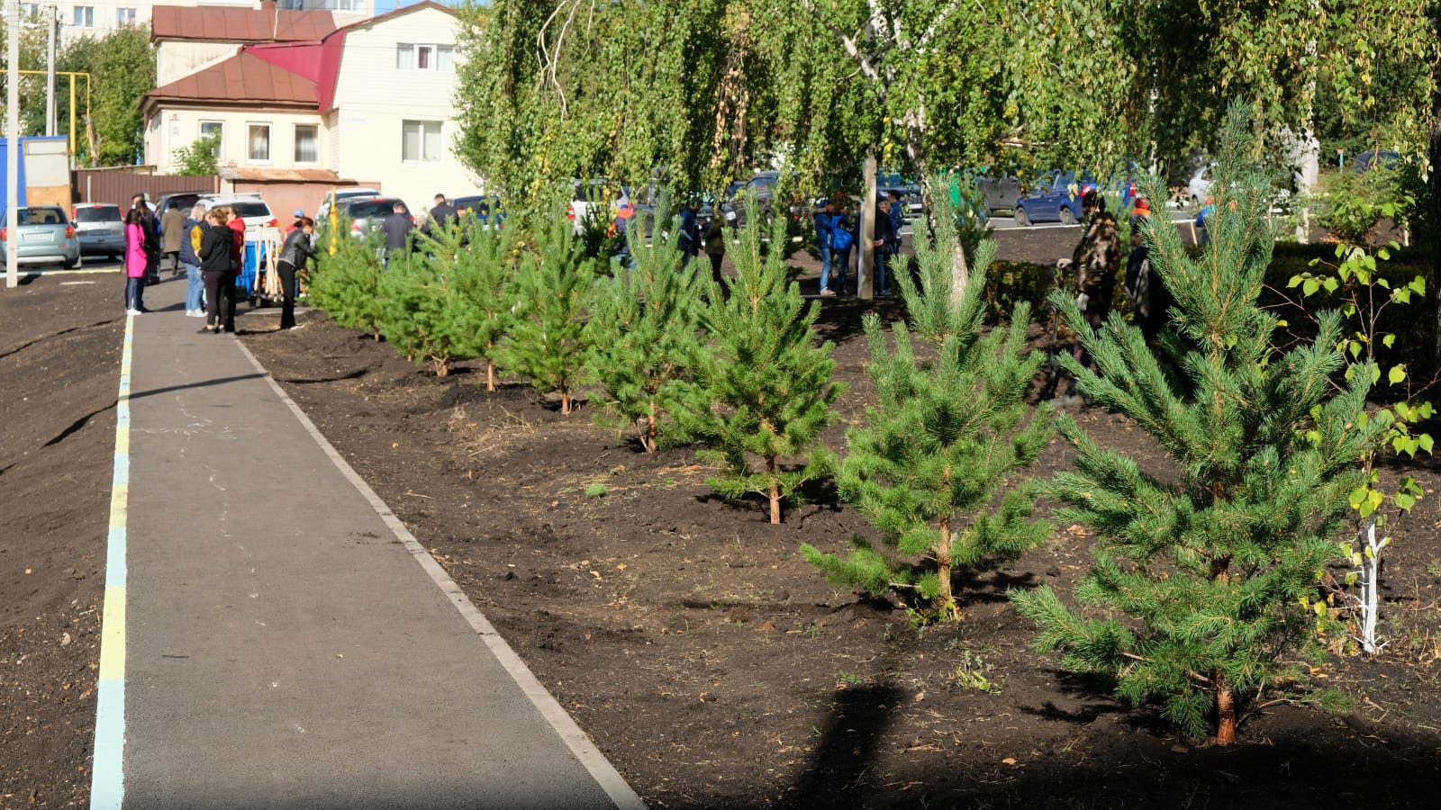 В Кировском районе высадили молодые деревья