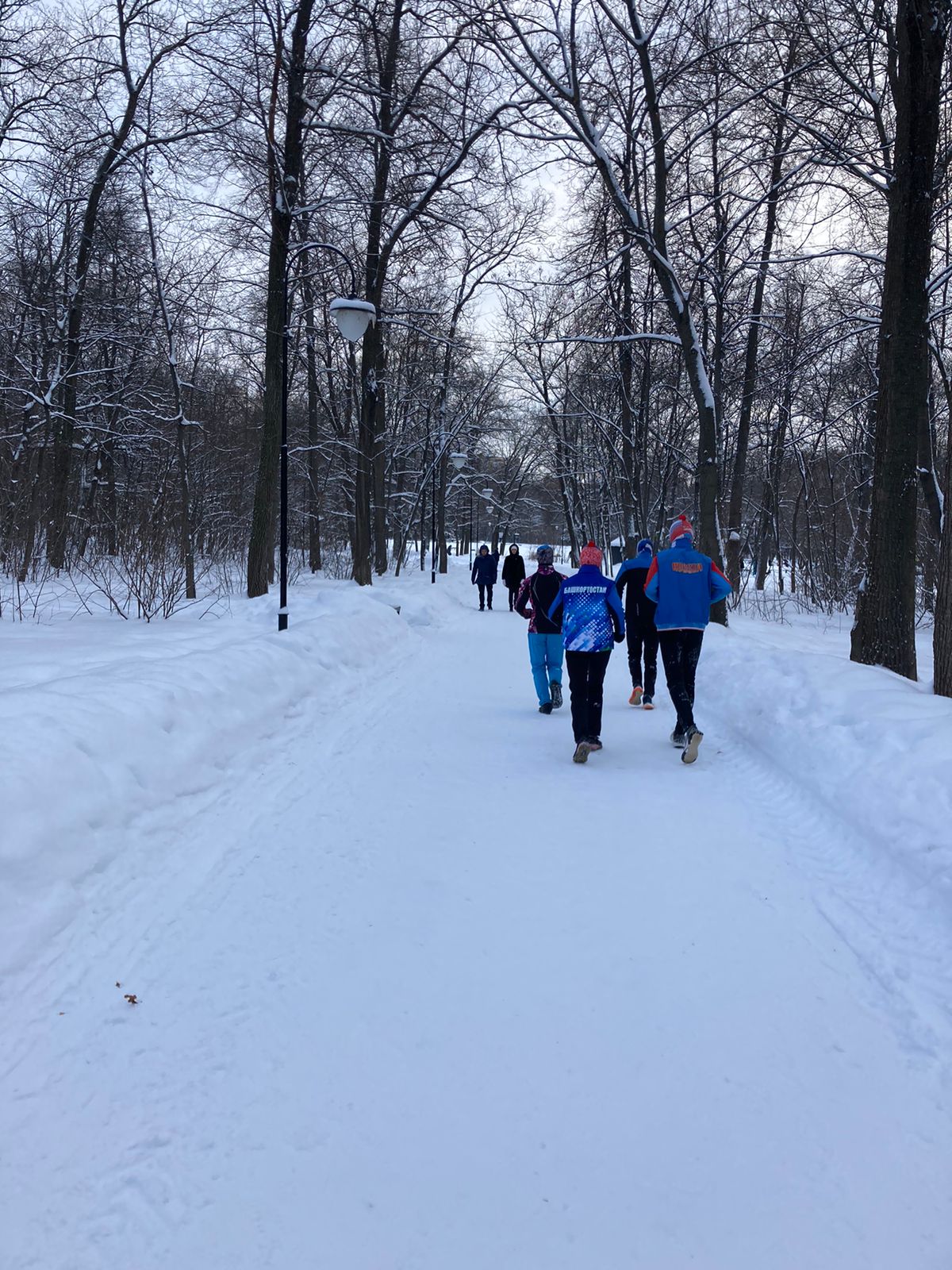 В парке Лесоводов и лыжня, и тропинки