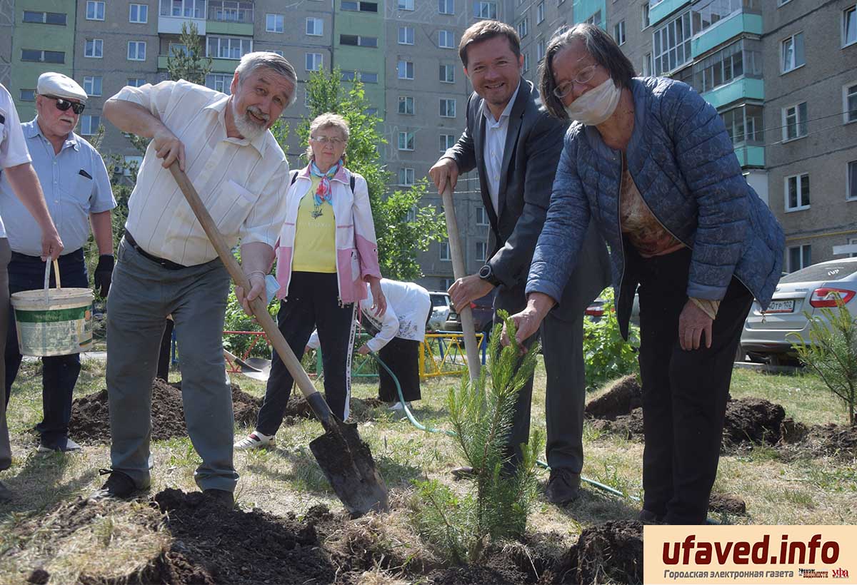 Уфимский депутат вместе с жителями Сипайлово посадил 33 сосны