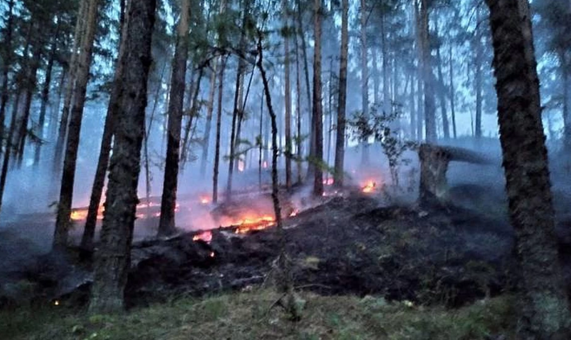 В Бурзянском районе Башкирии тушат лесной пожар 