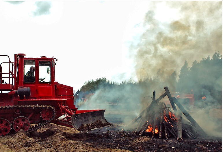 На защиту лесов от пожаров Башкирия получит 34,5 млн рублей 