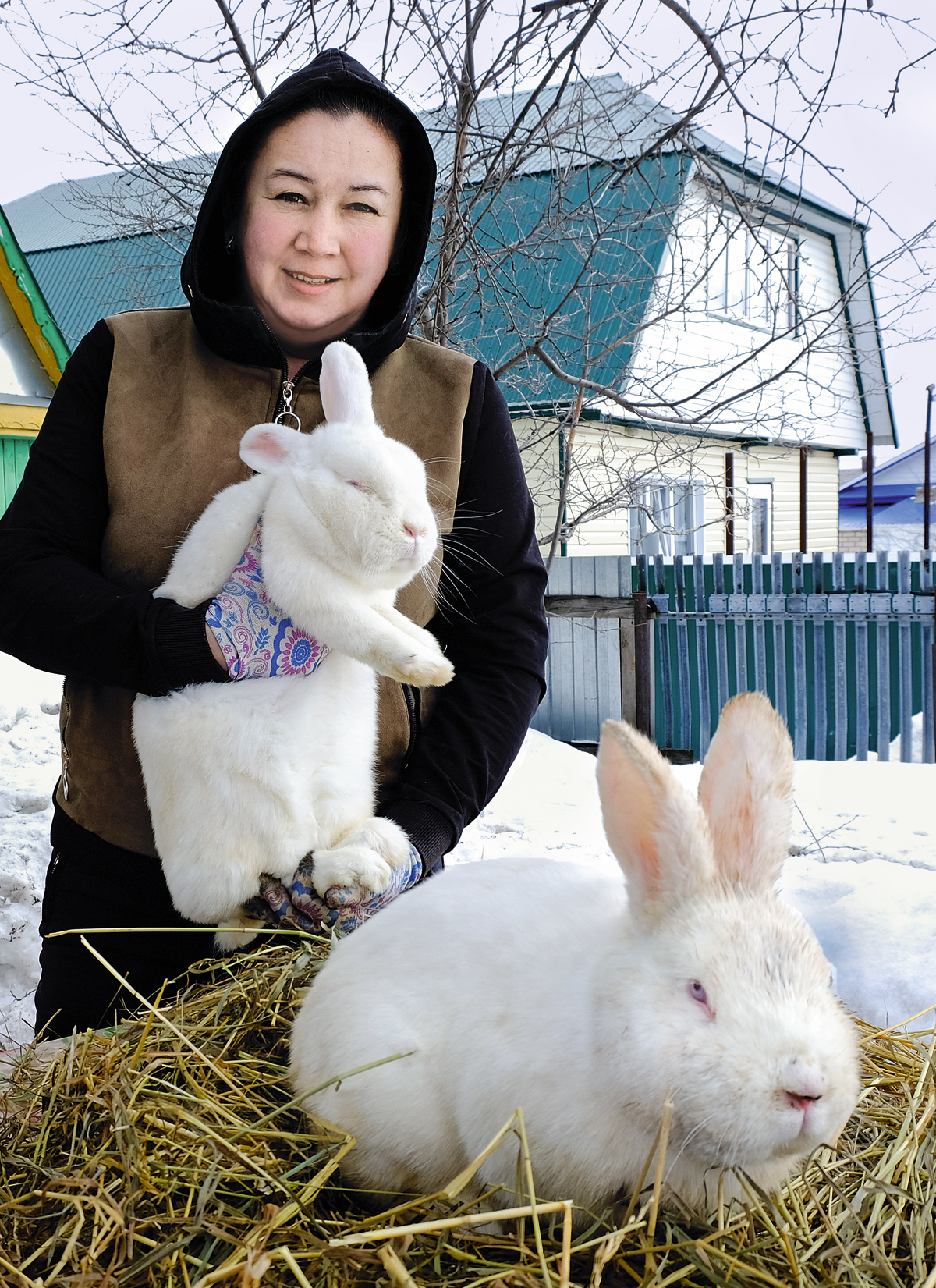 Почему на Урале почти исчезло кролиководство