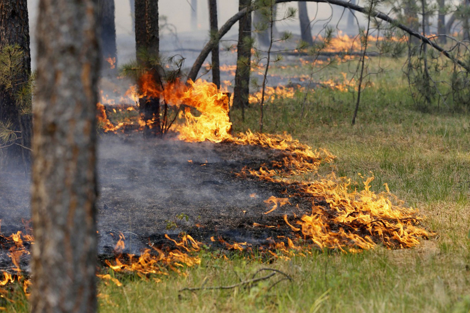 В Башкирии продолжают гореть леса