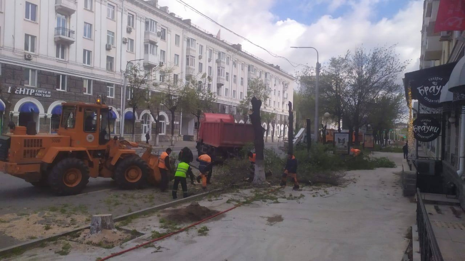Эксперты прокомментировали массовый демонтаж деревьев в центре Уфы