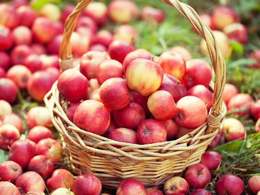 Рецепты из яблок - сохраним витамины впрок