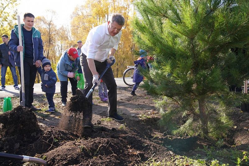 За две акции «Зеленая Башкирия» в республике посадили 178 тысяч деревьев