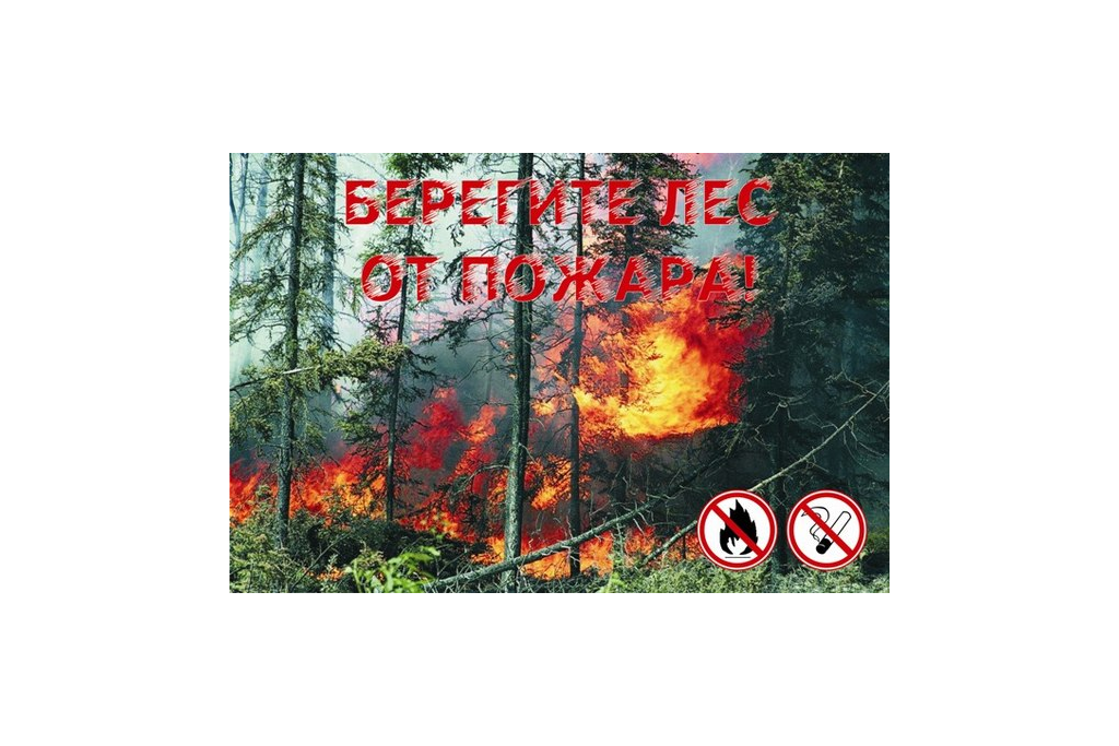 За сутки в Башкирии погасили 11 лесных пожаров