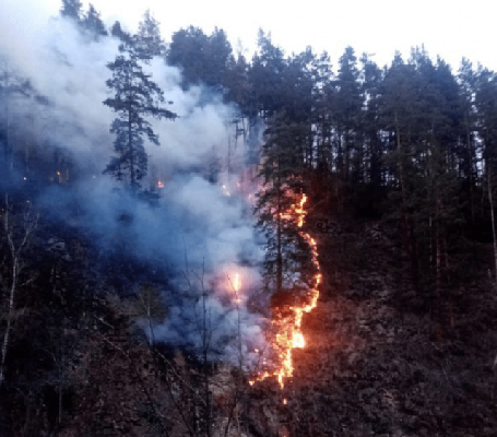 Пожар в заповеднике Башкирии локализован