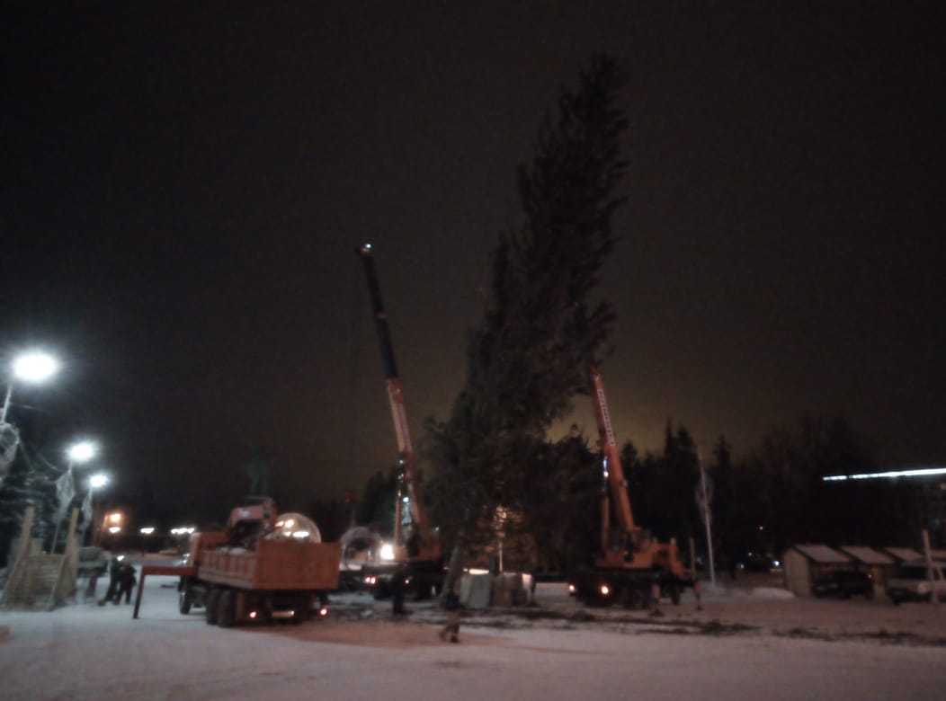 Сегодня ночью в Уфе установили елку на площади Ленина