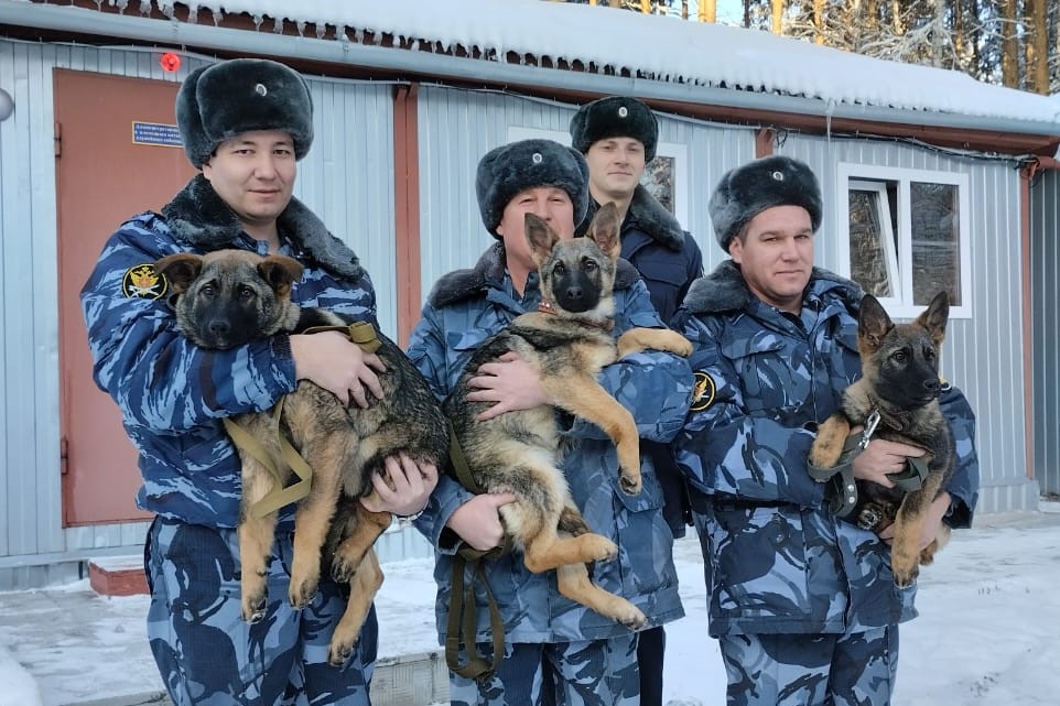 Кинологи УФСИН России по РБ приняли на воспитание 7 породистых щенков