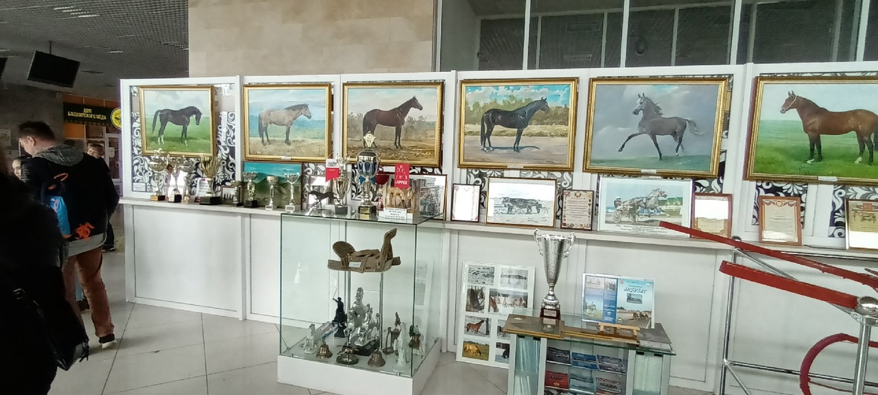 Что интересного в музее конного спорта в Уфе?
