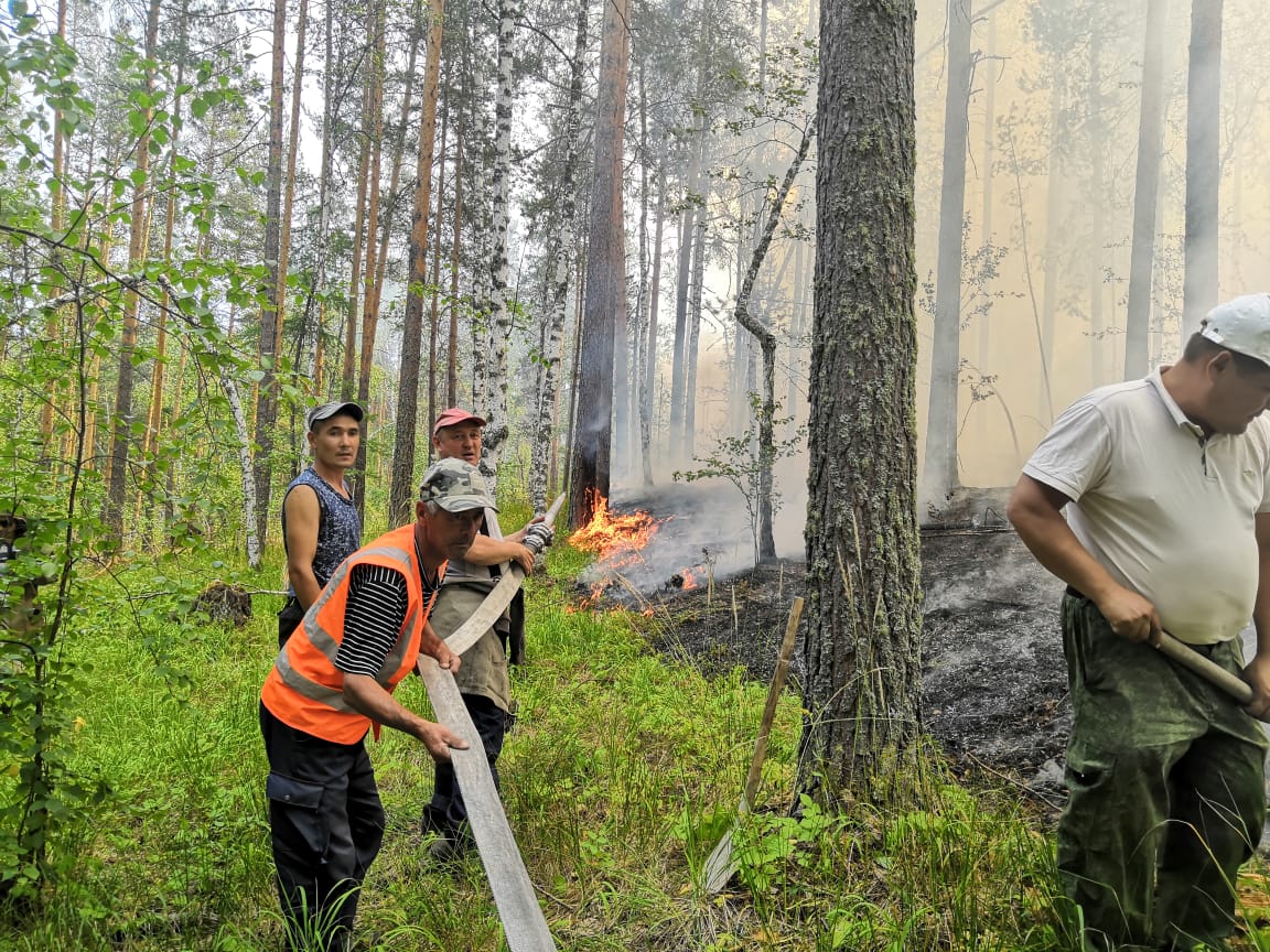 Волонтеры проекта «Наша забота» отправились тушить пожары в Белорецком районе