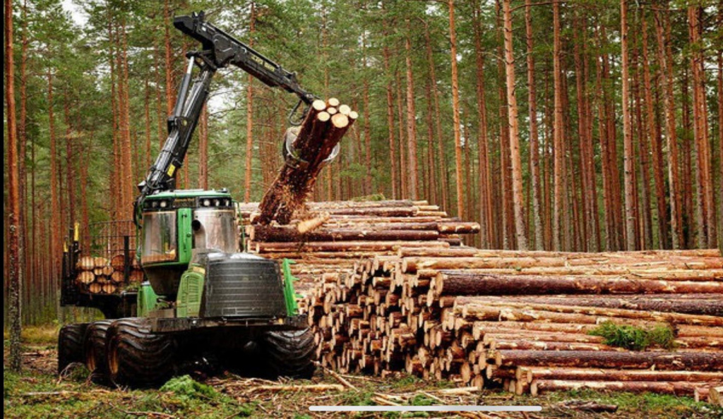  Предприятия лесопромышленного комплекса Башкортостана могут подать заявки для субсидирования