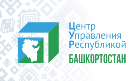 ЦУР Башкортостан победил в одной из номинаций конкурса IT-проектов на «ПРОФ-IT.2021»