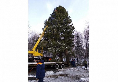 Видео: на главной площади Калининского района Уфы установили елку