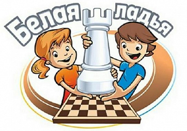В Башкортостане прошел очередной шахматный турнир