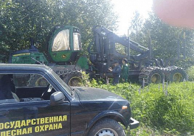 В Башкортостане выявили 239 нарушений лесного законодательства