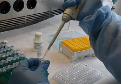 Российский Минздрав сообщил о создании препарата от коронавируса