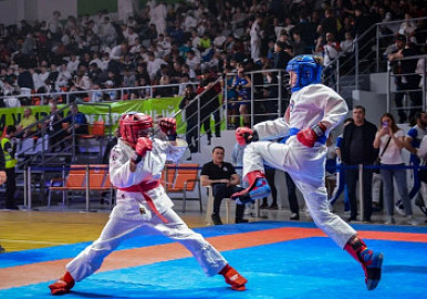 В Уфе подвели итоги Евразийских игр боевых искусств