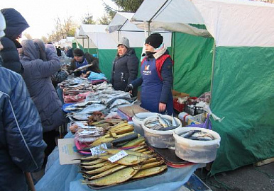 В Уфе прошла рыбная ярмарка: репортаж от Уфаведа