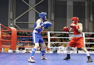 В Башкирии 250 боксеров сошлись в поединке