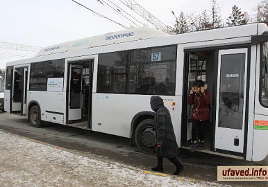 В Уфе появится 100 новых автобусов до конца года