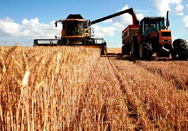 Урожай в Башкирии в 2021 году: ждать ли повышения цен на продукты?