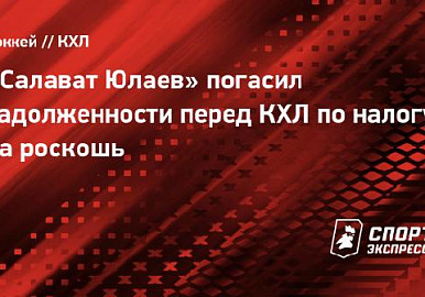 "Салават Юлаев" погасил долги перед КХЛ