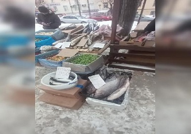 В Уфе продавали опасную речную рыбу