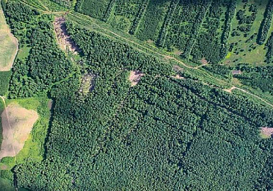 В Башкортостане будут мониторить в полтора раза больше лесов