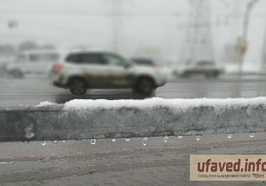 В первые выходные марта в Башкирии может потеплеть до нуля