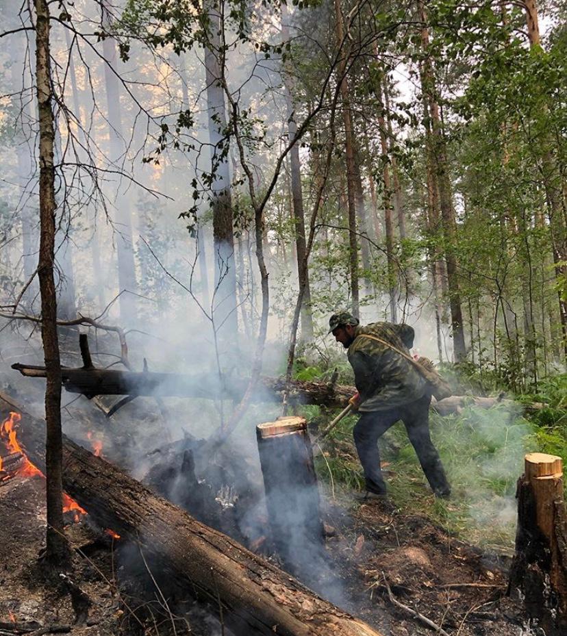 Торгово-промышленная палата РБ помогала при тушении пожаров в башкирских лесах