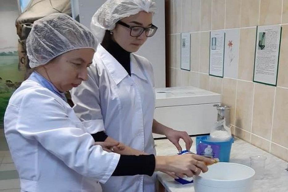 В Башкирском Аграрном университете разработали рецепт мороженого с прополисом и пыльцой